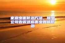 家庭蟲害防治方法，除蟲公司告訴這些害蟲如何防治