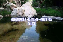 蟑螂有什么弱點(diǎn)-怕什么東西