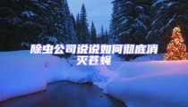除蟲公司說說如何徹底消滅蒼蠅