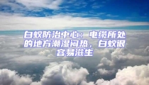 白蟻防治中心:電纜所處的地方潮濕悶熱,白蟻很容易滋生