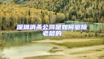 深圳消殺公司是如何驅除老鼠的