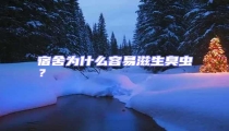 宿舍為什么容易滋生臭蟲?