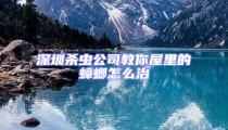 深圳殺蟲公司教你屋里的蟑螂怎么治