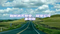如何消滅臭蟲,除蟲公司來幫你