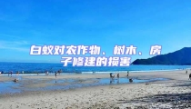 白蟻對農作物、樹木、房子修建的損害