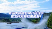 專業(yè)滅蟑螂公司介紹地下室怎樣滅蟑效果最好?