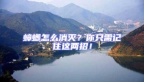 蟑螂怎么消滅?你只需記住這兩招!