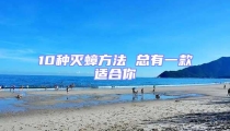 10種滅蟑方法 總有一款適合你