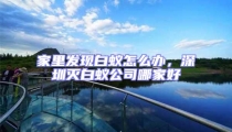 家里發現白蟻怎么辦,深圳滅白蟻公司哪家好