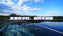 家里有孕婦,如何滅蟑螂