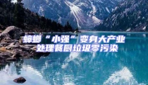 蟑螂“小強”變身大產業 處理餐廚垃圾零污染