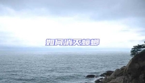 如何消滅蟑螂