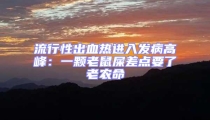 流行性出血熱進入發病高峰:一顆老鼠屎差點要了老農命