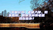 【滅鼠公司】老鼠入侵,防不勝防,教你怎樣將老鼠擋在窗外?