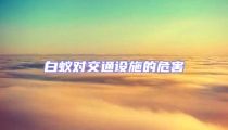 白蟻對(duì)交通設(shè)施的危害