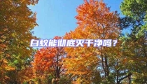 白蟻能徹底滅干凈嗎？