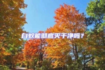 白蟻能徹底滅干凈嗎？