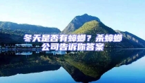 冬天是否有蟑螂?殺蟑螂公司告訴你答案