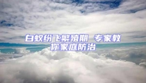 白蟻紛飛繁殖期 專家教你家庭防治