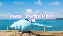 白蟻站:白蟻常見(jiàn)種類(lèi)及習(xí)性