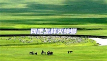 網吧怎樣滅蟑螂