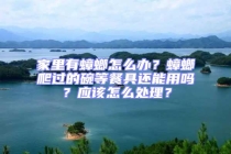 家里有蟑螂怎么辦？蟑螂爬過的碗等餐具還能用嗎？應該怎么處理？