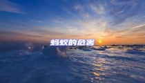 螞蟻的危害