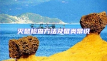 滅鼠檢查方法及鼠類常識