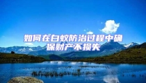 如何在白蟻防治過程中確保財產不損失