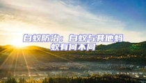 白蟻防治:白蟻與其他螞蟻有何不同
