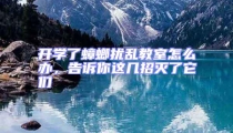 開學了蟑螂擾亂教室怎么辦,告訴你這幾招滅了它們