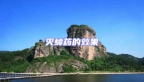 滅蟑藥的效果