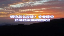 螨蟲怎么去除?專業除蟲公司教你如何除螨蟲