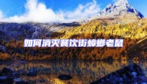 如何消滅餐飲街蟑螂老鼠