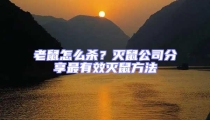 老鼠怎么殺?滅鼠公司分享最有效滅鼠方法
