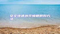 安全快速消滅蟑螂啊好方法