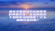 最近全國各地紛紛降雨導致蟑螂滋生,在這種情況下如何防治蟑螂呢?什么蟑螂藥最好的?