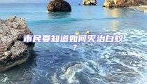 市民要知道如何滅治白蟻?