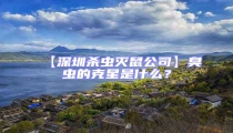 【深圳殺蟲滅鼠公司】臭蟲的克星是什么?