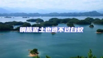 鋼筋泥土也逃不過白蟻