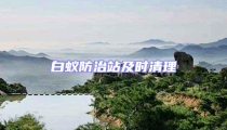 白蟻防治站及時清理