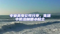 專業殺蟲公司分享,生活中防治蟑螂小貼士