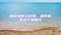 哪種蟑螂藥好用,最好的家庭滅蟑螂藥