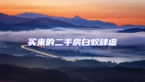 買來的二手房白蟻肆虐