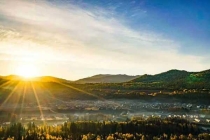 蟑螂防治的原則