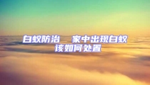 白蟻防治  家中出現白蟻 該如何處置