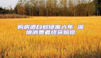 購房遭白蟻侵害六年 深圳消費(fèi)者終獲賠償