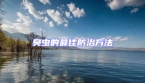 臭蟲的最佳防治方法