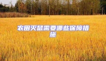 農田滅鼠需要哪些保障措施
