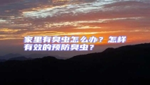 家里有臭蟲怎么辦?怎樣有效的預防臭蟲?